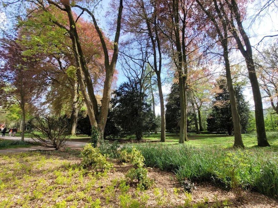Mit Blick In Den Emsseepark Warendorf Exterior photo